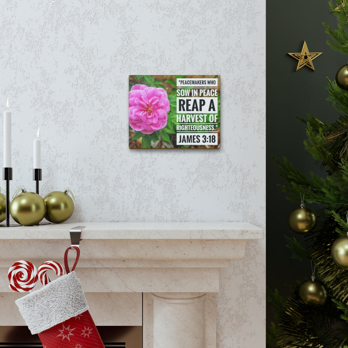 Scripture Walls Harvest Of Righteousness James 3:18 Bible Verse Canvas Christian Wall Art Bible Verse Print Ready To Hang Unframed-Express Your Love Gifts