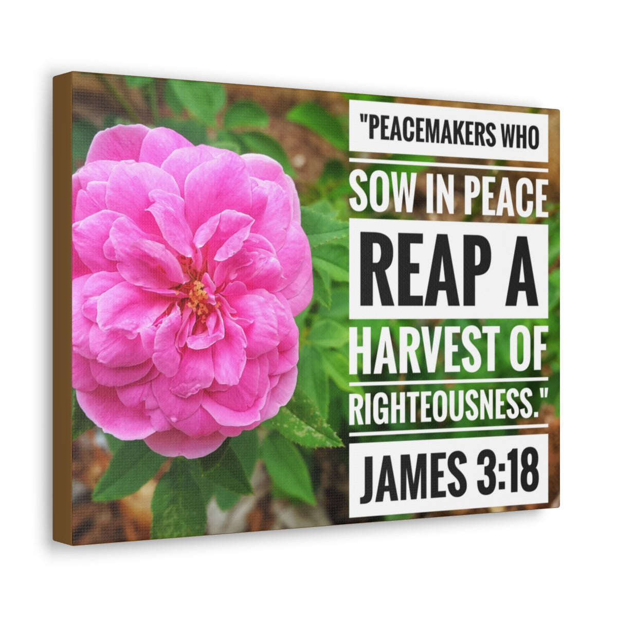 Scripture Walls Harvest Of Righteousness James 3:18 Bible Verse Canvas Christian Wall Art Bible Verse Print Ready To Hang Unframed-Express Your Love Gifts