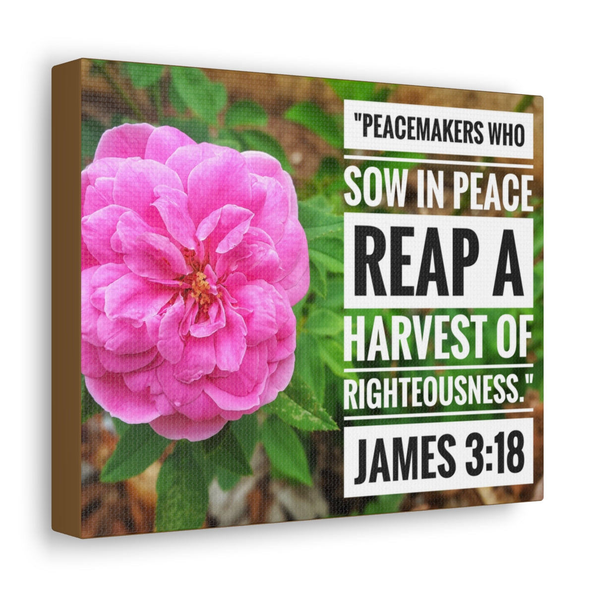 Scripture Walls Harvest Of Righteousness James 3:18 Bible Verse Canvas Christian Wall Art Bible Verse Print Ready To Hang Unframed-Express Your Love Gifts