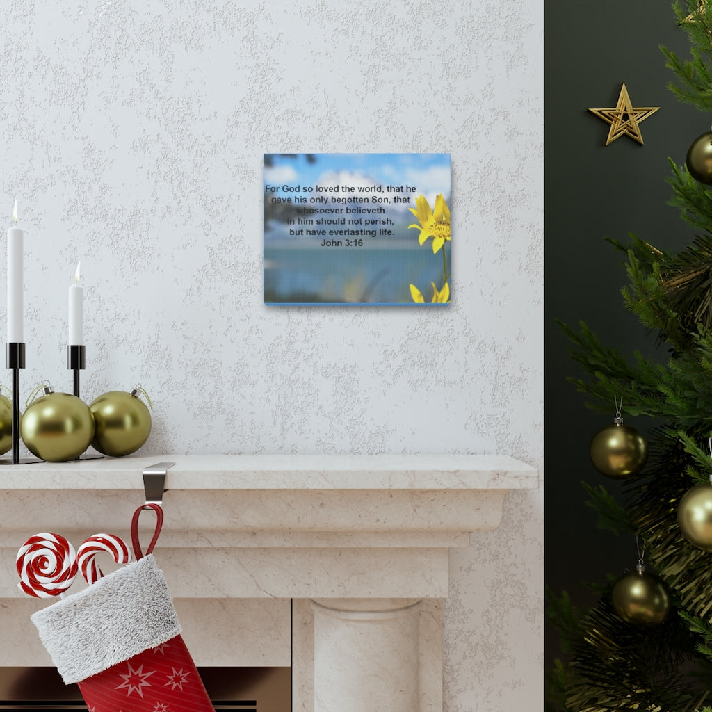 Scripture Walls Have Everlasting Life John 3:16 Bible Verse Canvas Christian Wall Art Ready to Hang Unframed-Express Your Love Gifts