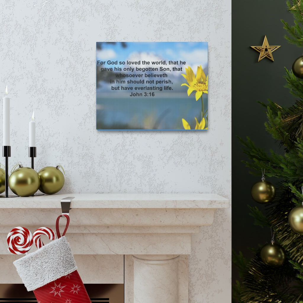 Scripture Walls Have Everlasting Life John 3:16 Bible Verse Canvas Christian Wall Art Ready to Hang Unframed-Express Your Love Gifts