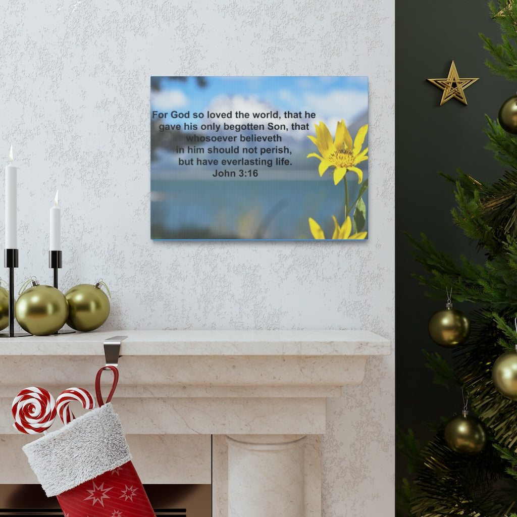 Scripture Walls Have Everlasting Life John 3:16 Bible Verse Canvas Christian Wall Art Ready to Hang Unframed-Express Your Love Gifts