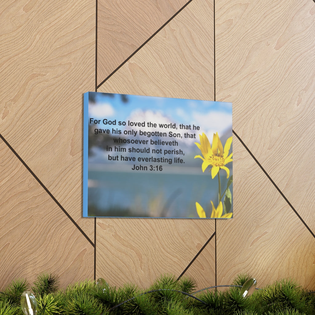 Scripture Walls Have Everlasting Life John 3:16 Bible Verse Canvas Christian Wall Art Ready to Hang Unframed-Express Your Love Gifts