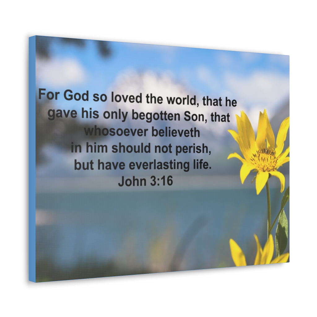 Scripture Walls Have Everlasting Life John 3:16 Bible Verse Canvas Christian Wall Art Ready to Hang Unframed-Express Your Love Gifts
