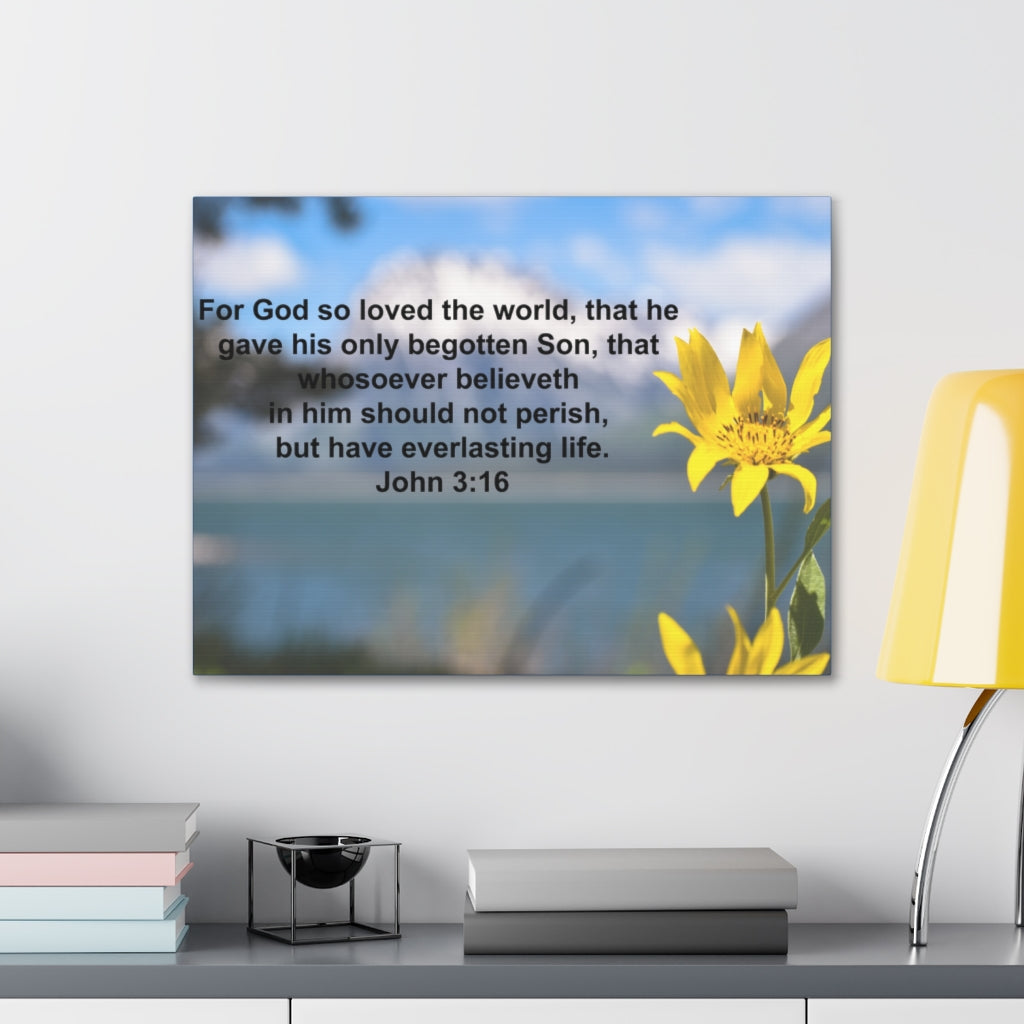 Scripture Walls Have Everlasting Life John 3:16 Bible Verse Canvas Christian Wall Art Ready to Hang Unframed-Express Your Love Gifts