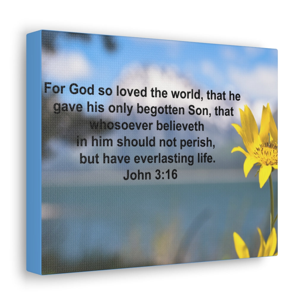 Scripture Walls Have Everlasting Life John 3:16 Bible Verse Canvas Christian Wall Art Ready to Hang Unframed-Express Your Love Gifts