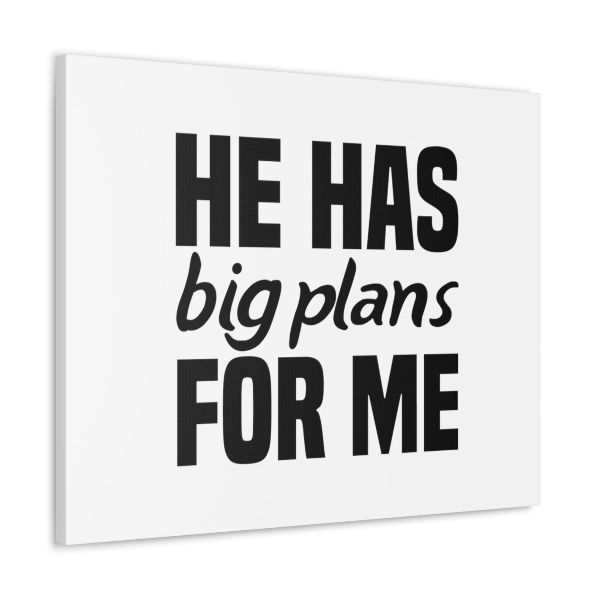 Scripture Walls He Has Big Plans Jeremiah 29:11 Christian Wall Art Bible Verse Print Ready to Hang Unframed-Express Your Love Gifts