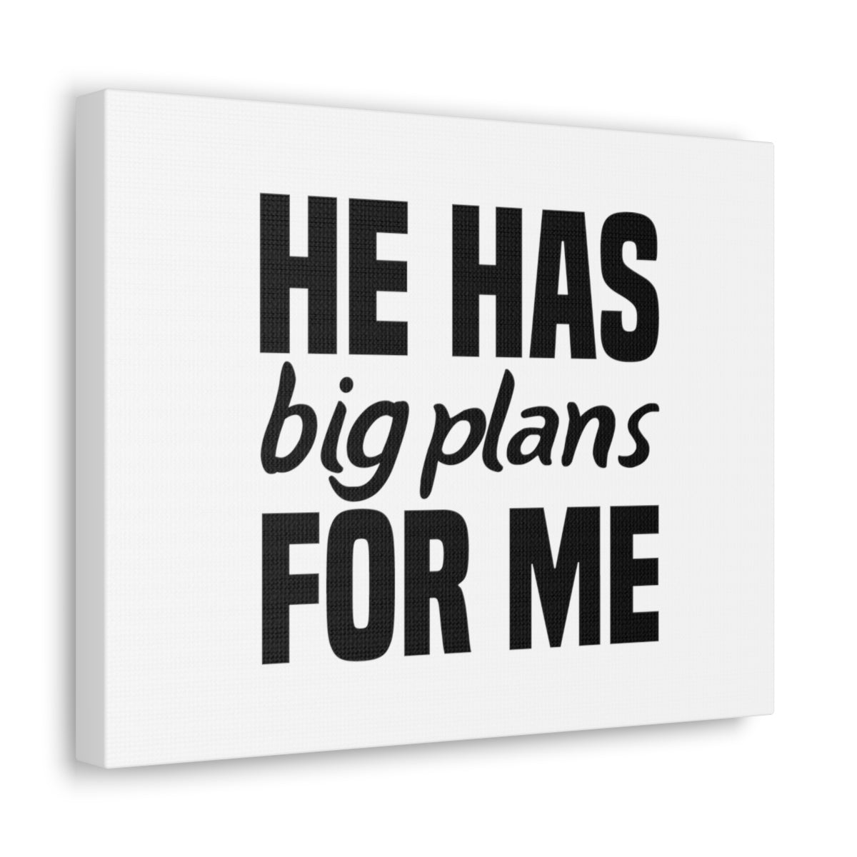 Scripture Walls He Has Big Plans Jeremiah 29:11 Christian Wall Art Bible Verse Print Ready to Hang Unframed-Express Your Love Gifts