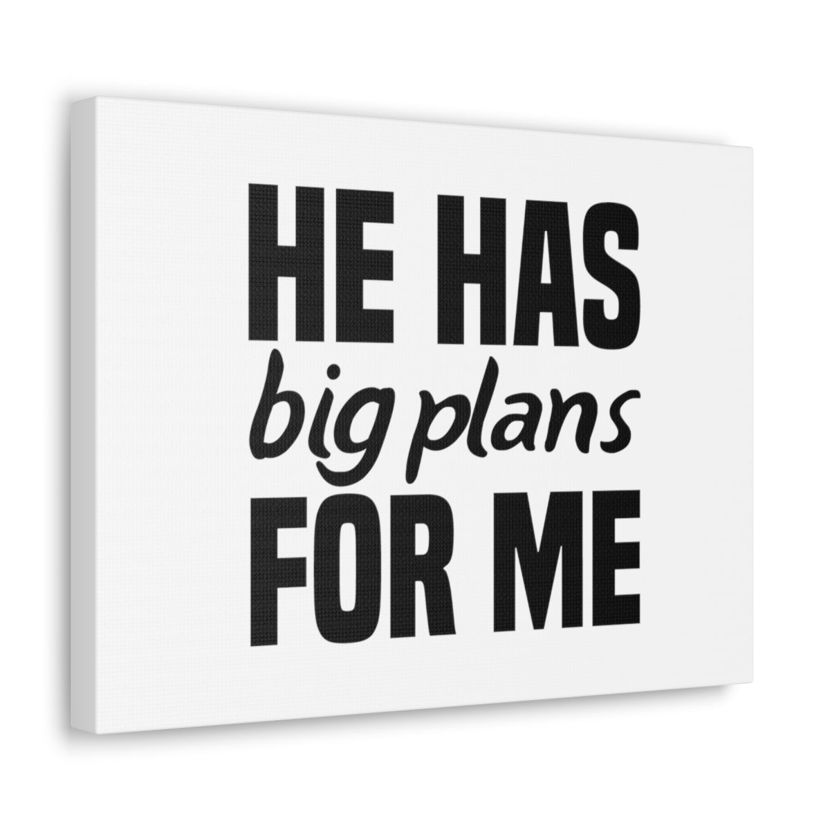 Scripture Walls He Has Big Plans Jeremiah 29:11 Christian Wall Art Bible Verse Print Ready to Hang Unframed-Express Your Love Gifts