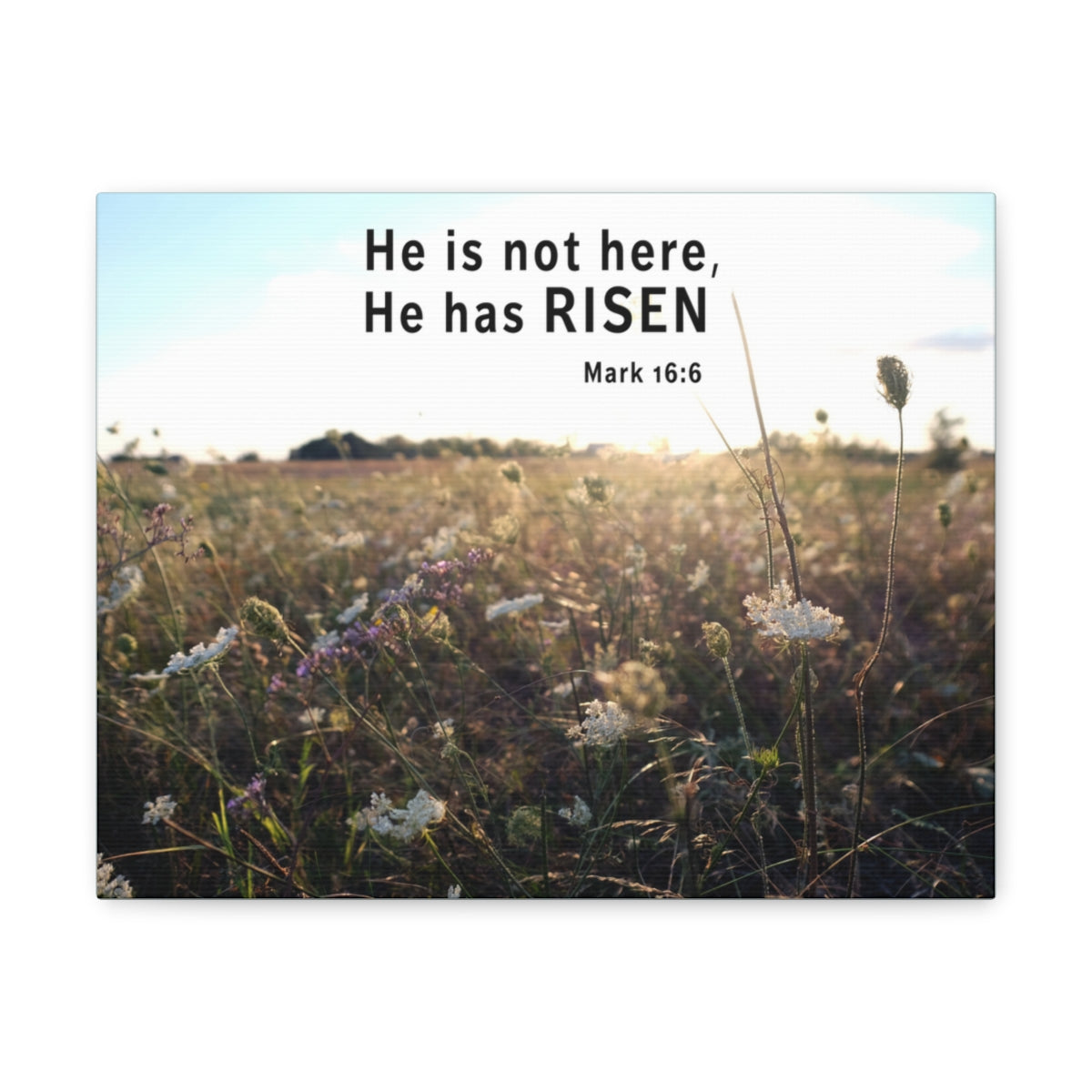 Scripture Walls He Has Risen Mark 16:6 Bible Verse Canvas Christian Wall Art Ready to Hang Unframed-Express Your Love Gifts