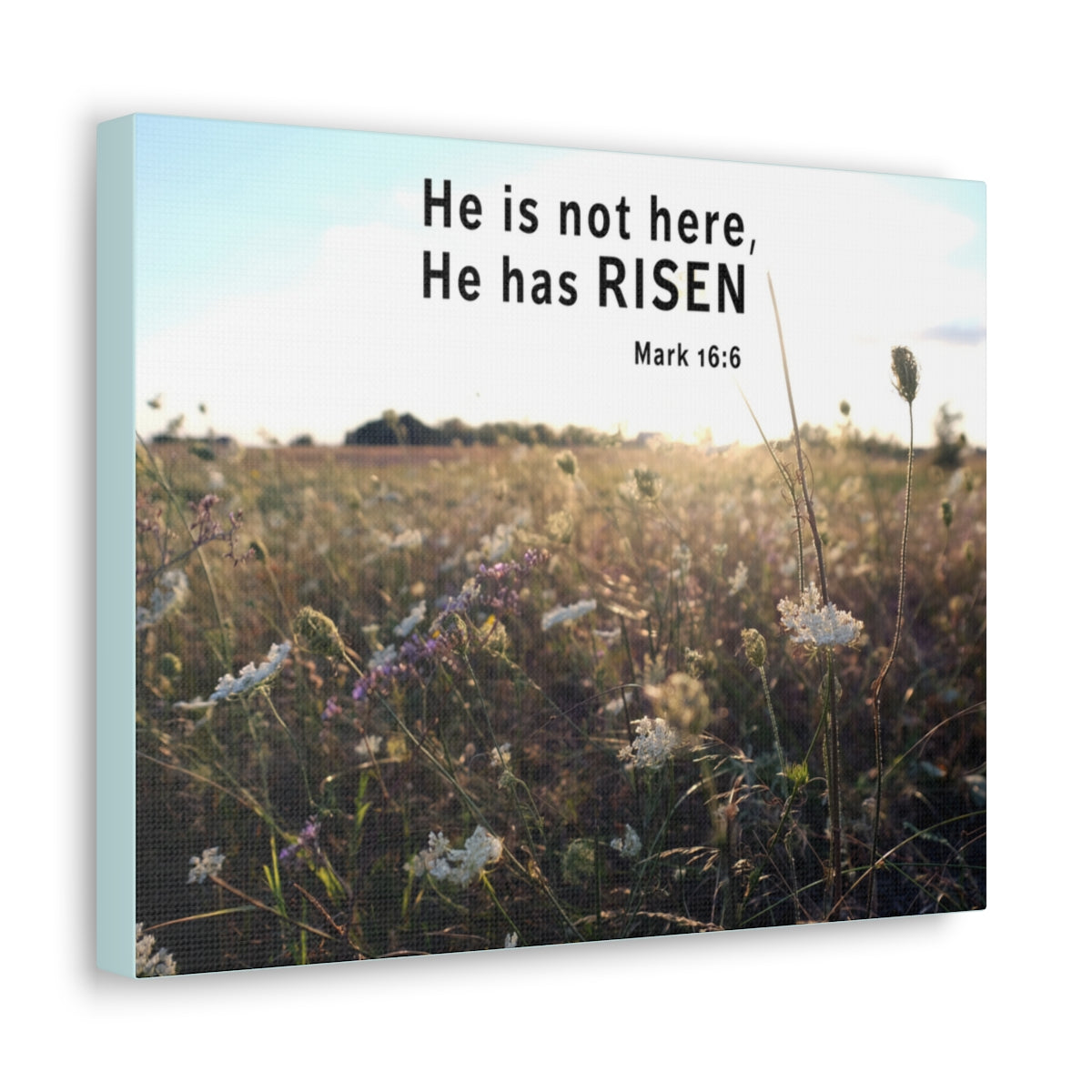 Scripture Walls He Has Risen Mark 16:6 Bible Verse Canvas Christian Wall Art Ready to Hang Unframed-Express Your Love Gifts