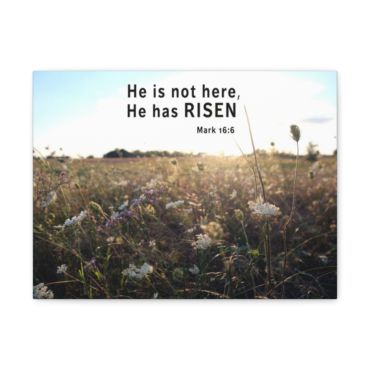 Scripture Walls He Has Risen Mark 16:6 Bible Verse Canvas Christian Wall Art Ready to Hang Unframed-Express Your Love Gifts