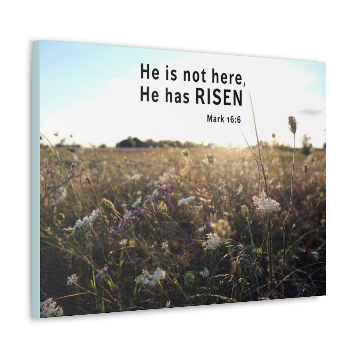 Scripture Walls He Has Risen Mark 16:6 Bible Verse Canvas Christian Wall Art Ready to Hang Unframed-Express Your Love Gifts