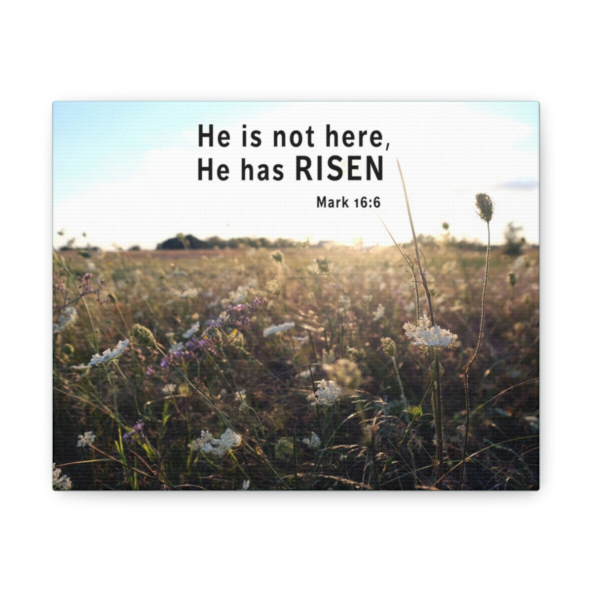 Scripture Walls He Has Risen Mark 16:6 Bible Verse Canvas Christian Wall Art Ready to Hang Unframed-Express Your Love Gifts