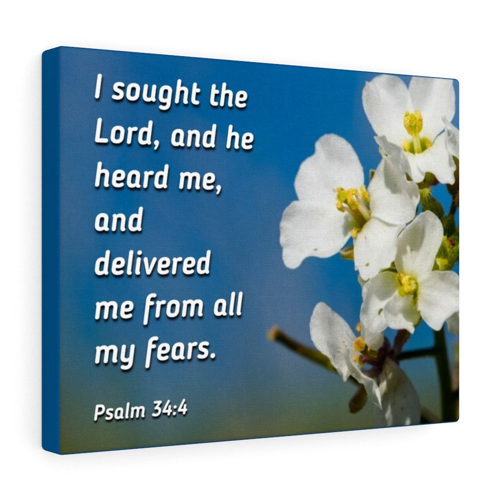 Scripture Walls He Heard Me Psalm 34:4 Bible Verse Canvas Christian Wall Art Ready to Hang Unframed-Express Your Love Gifts