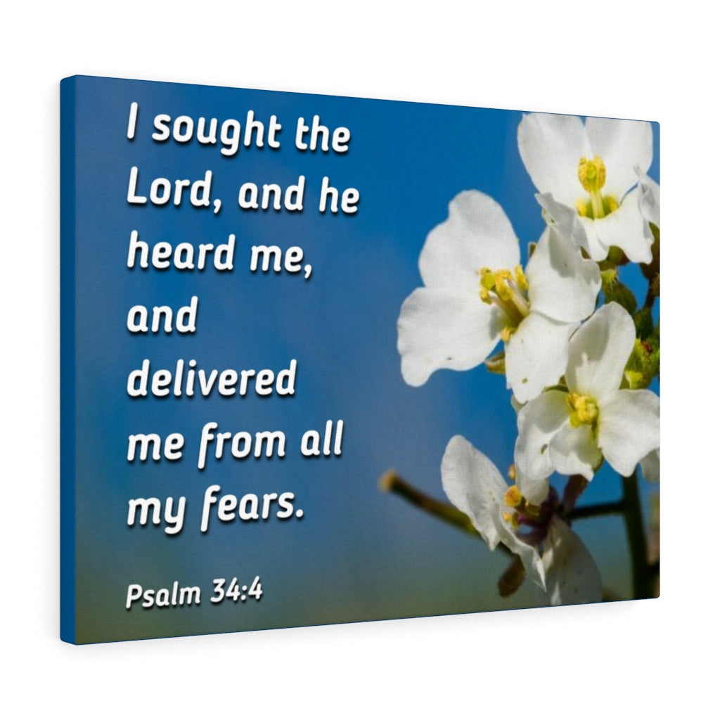 Scripture Walls He Heard Me Psalm 34:4 Bible Verse Canvas Christian Wall Art Ready to Hang Unframed-Express Your Love Gifts