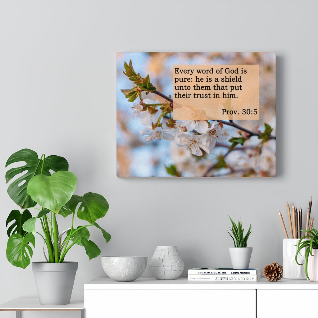 Scripture Walls He Is A Shield Proverbs 30:5 Bible Verse Canvas Christian Wall Art Ready to Hang Unframed-Express Your Love Gifts