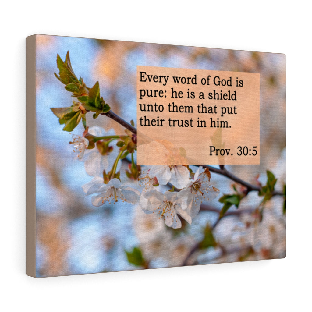 Scripture Walls He Is A Shield Proverbs 30:5 Bible Verse Canvas Christian Wall Art Ready to Hang Unframed-Express Your Love Gifts