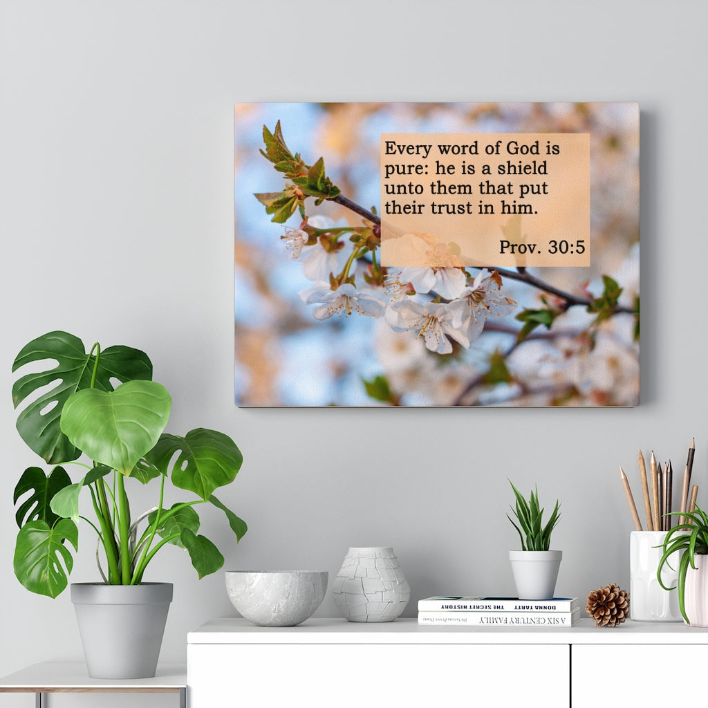 Scripture Walls He Is A Shield Proverbs 30:5 Bible Verse Canvas Christian Wall Art Ready to Hang Unframed-Express Your Love Gifts