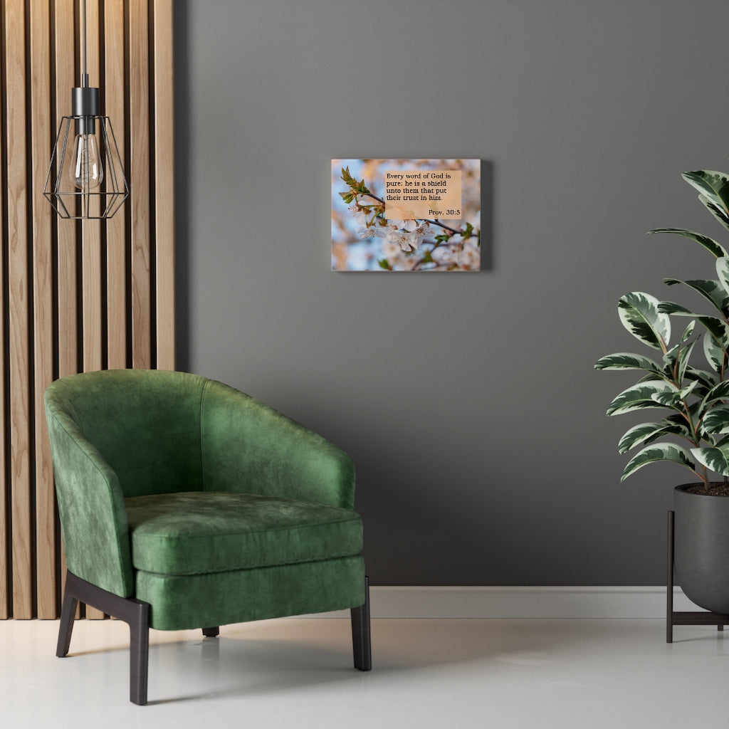 Scripture Walls He Is A Shield Proverbs 30:5 Bible Verse Canvas Christian Wall Art Ready to Hang Unframed-Express Your Love Gifts