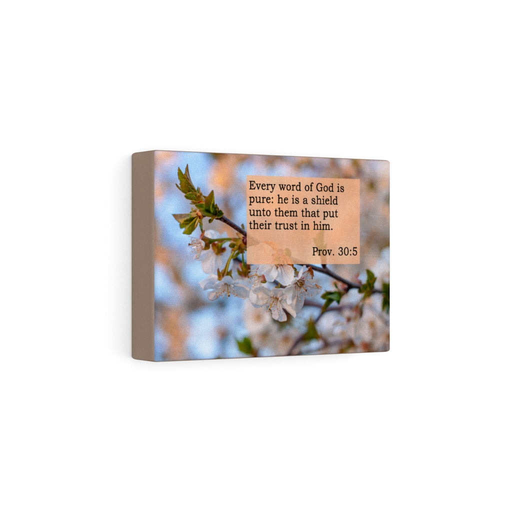 Scripture Walls He Is A Shield Proverbs 30:5 Bible Verse Canvas Christian Wall Art Ready to Hang Unframed-Express Your Love Gifts