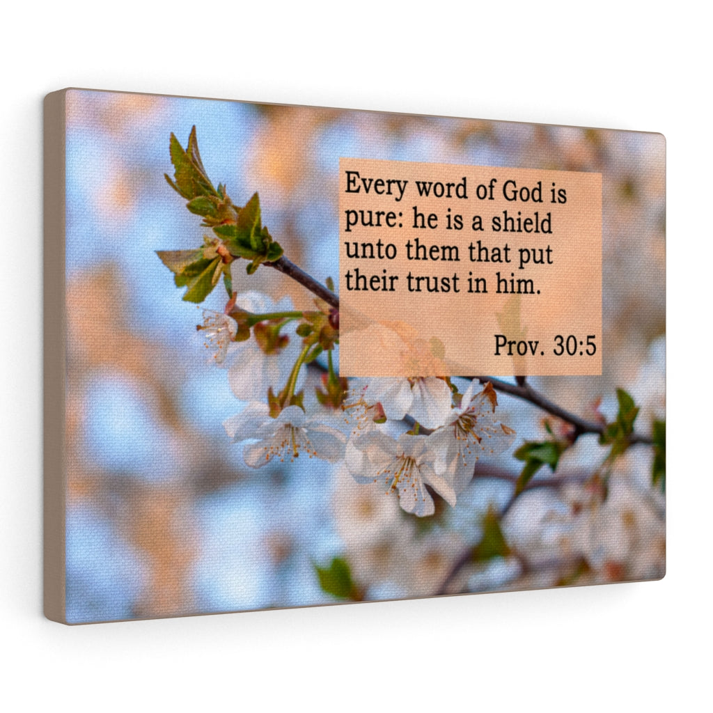Scripture Walls He Is A Shield Proverbs 30:5 Bible Verse Canvas Christian Wall Art Ready to Hang Unframed-Express Your Love Gifts