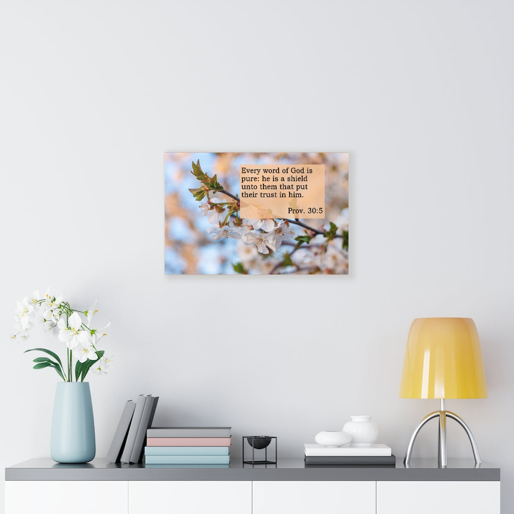 Scripture Walls He Is A Shield Proverbs 30:5 Bible Verse Canvas Christian Wall Art Ready to Hang Unframed-Express Your Love Gifts