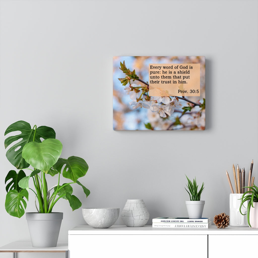 Scripture Walls He Is A Shield Proverbs 30:5 Bible Verse Canvas Christian Wall Art Ready to Hang Unframed-Express Your Love Gifts