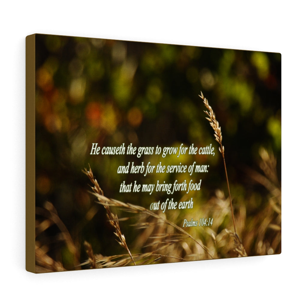 Scripture Walls He May Bring Forth Psalms 104:14 Bible Verse Canvas Christian Wall Art Ready to Hang Unframed-Express Your Love Gifts