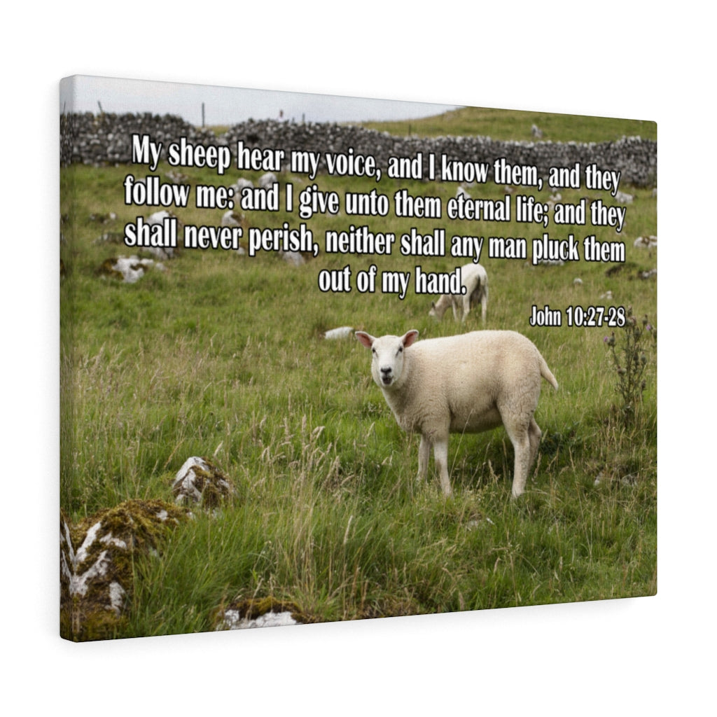 Scripture Walls Hear My Voice John 10:27-28 Bible Verse Canvas Christian Wall Art Ready to Hang Unframed-Express Your Love Gifts