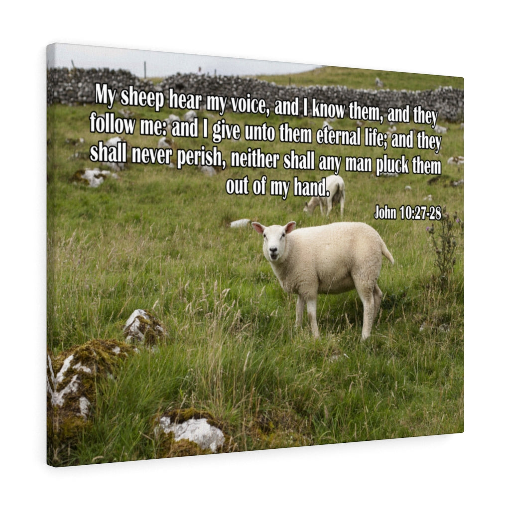 Scripture Walls Hear My Voice John 10:27-28 Bible Verse Canvas Christian Wall Art Ready to Hang Unframed-Express Your Love Gifts