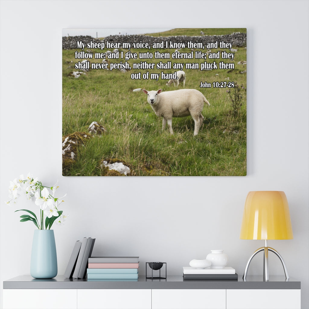 Scripture Walls Hear My Voice John 10:27-28 Bible Verse Canvas Christian Wall Art Ready to Hang Unframed-Express Your Love Gifts