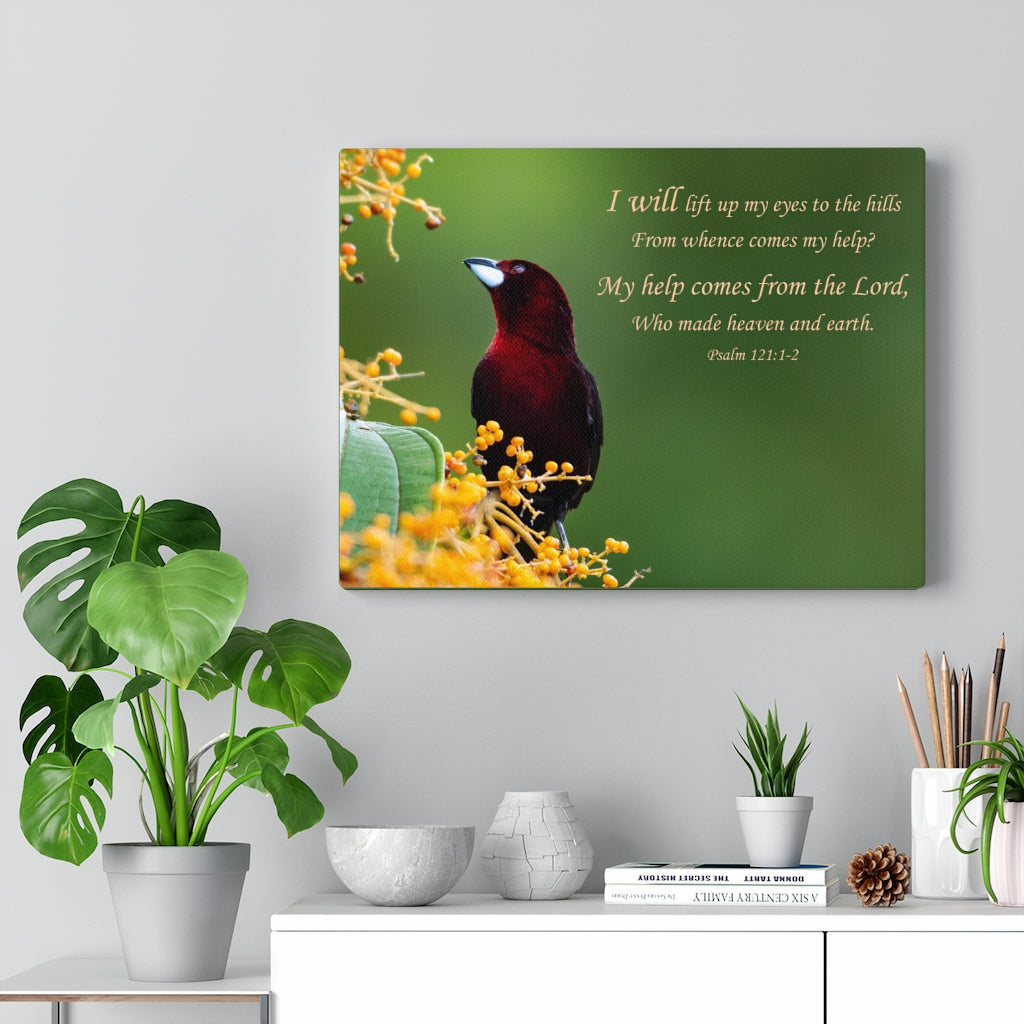 Scripture Walls Heaven and Earth Psalm 121:1-2 Bible Verse Canvas Christian Wall Art Ready to Hang Unframed-Express Your Love Gifts