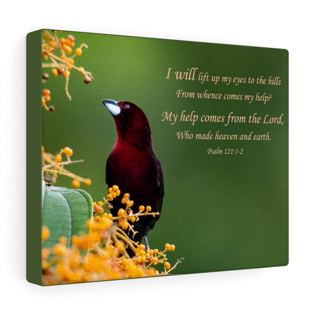 Scripture Walls Heaven and Earth Psalm 121:1-2 Bible Verse Canvas Christian Wall Art Ready to Hang Unframed-Express Your Love Gifts