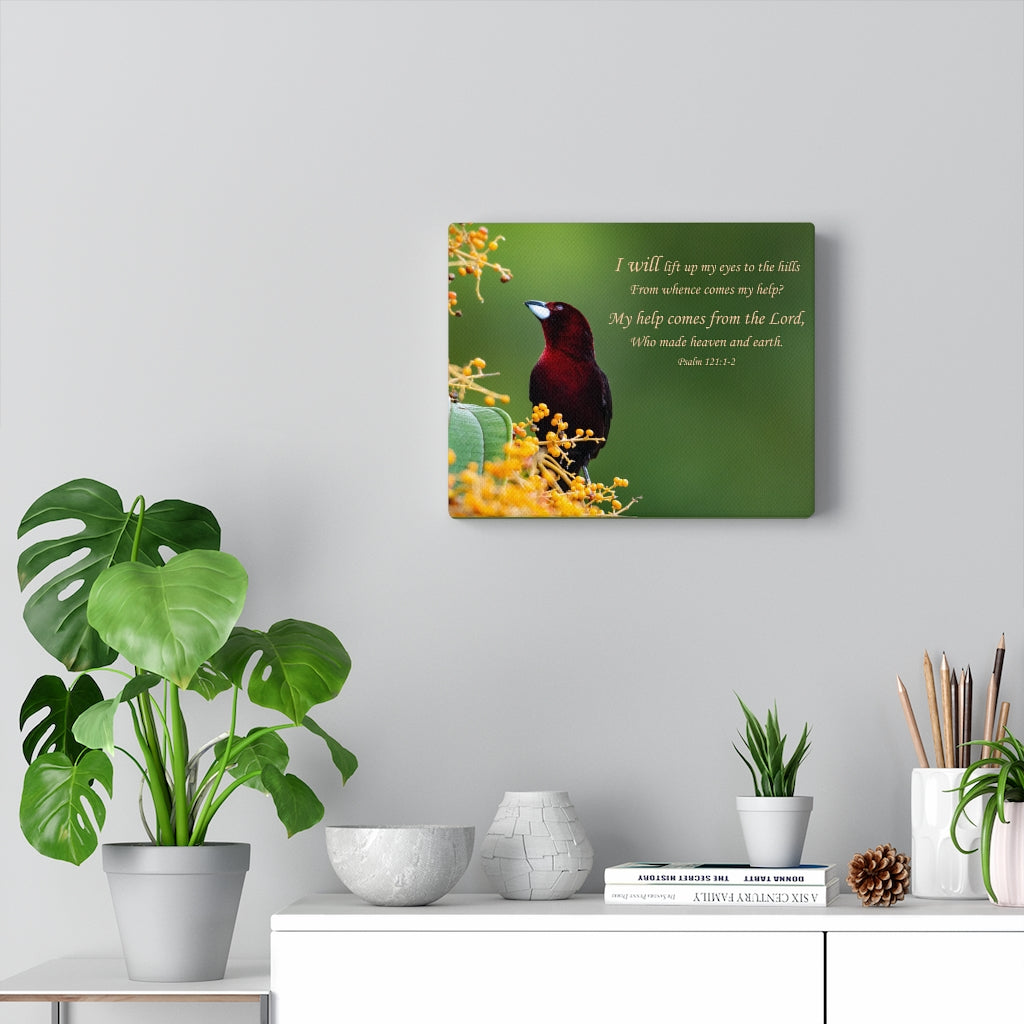 Scripture Walls Heaven and Earth Psalm 121:1-2 Bible Verse Canvas Christian Wall Art Ready to Hang Unframed-Express Your Love Gifts