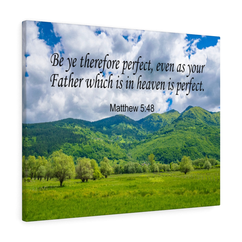 Scripture Walls Heaven is Perfect Matthew 5:48 Christian Wall Art Print Ready to Hang Unframed-Express Your Love Gifts
