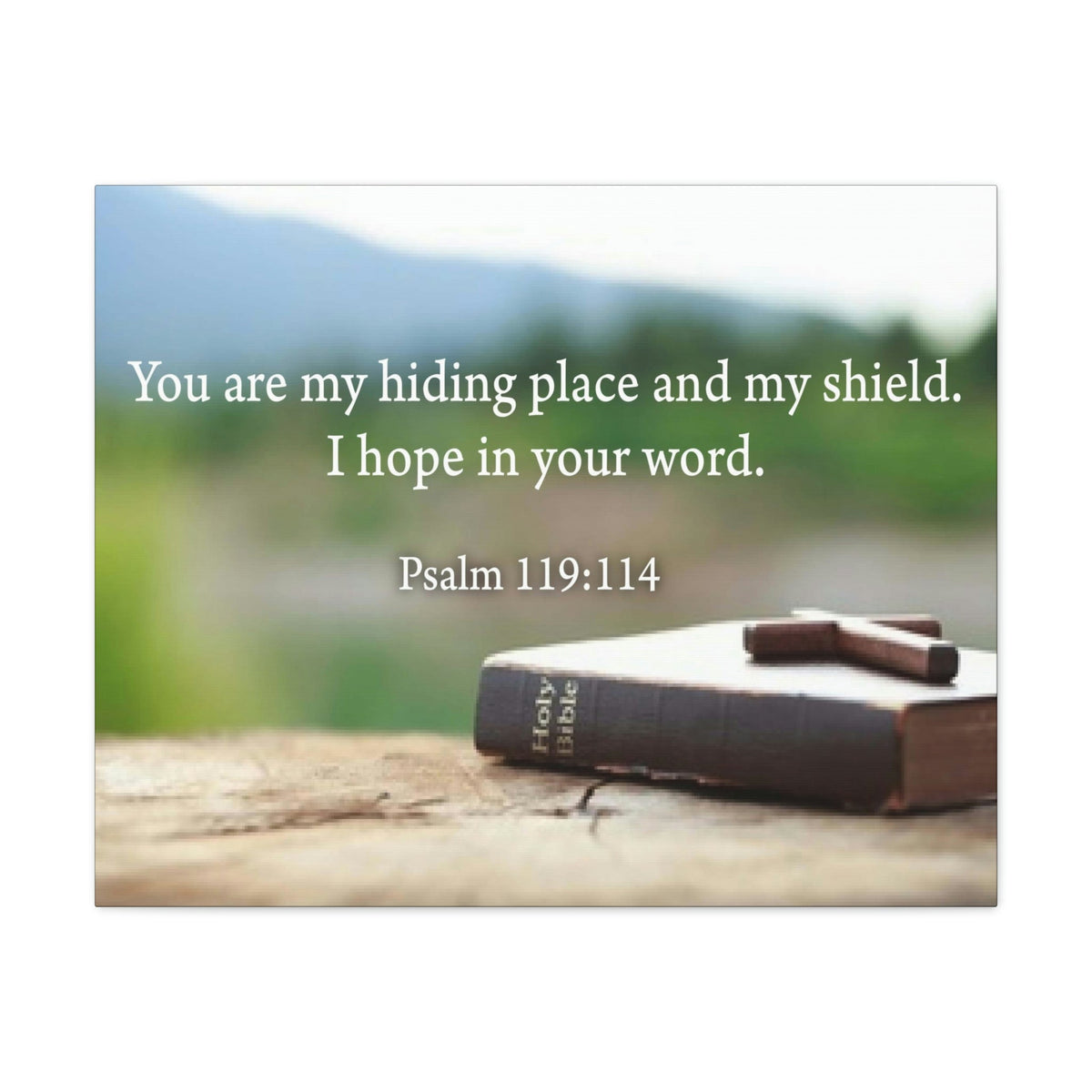Scripture Walls Hiding Place Psalm 119:114 Bible Verse Canvas Christian Wall Art Ready to Hang Unframed-Express Your Love Gifts