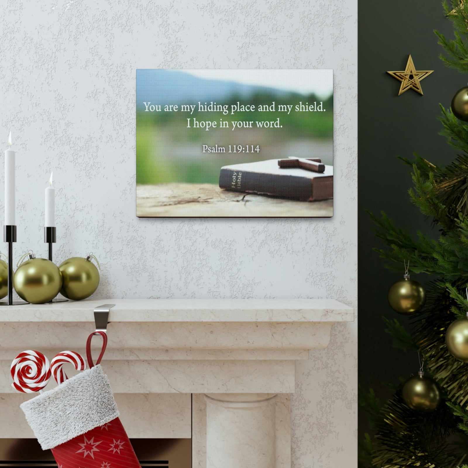 Scripture Walls Hiding Place Psalm 119:114 Bible Verse Canvas Christian Wall Art Ready to Hang Unframed-Express Your Love Gifts