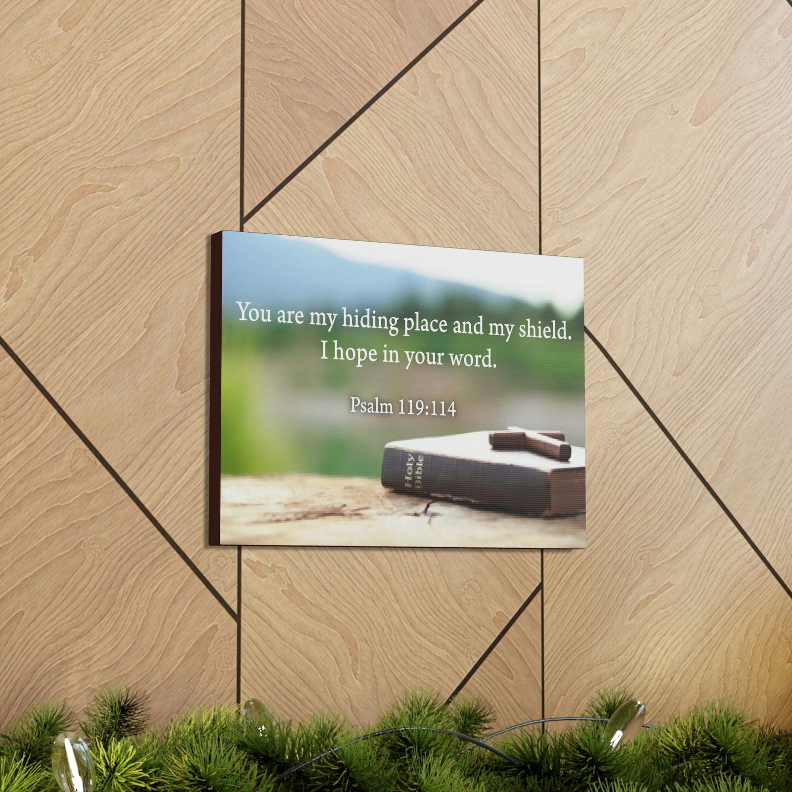 Scripture Walls Hiding Place Psalm 119:114 Bible Verse Canvas Christian Wall Art Ready to Hang Unframed-Express Your Love Gifts
