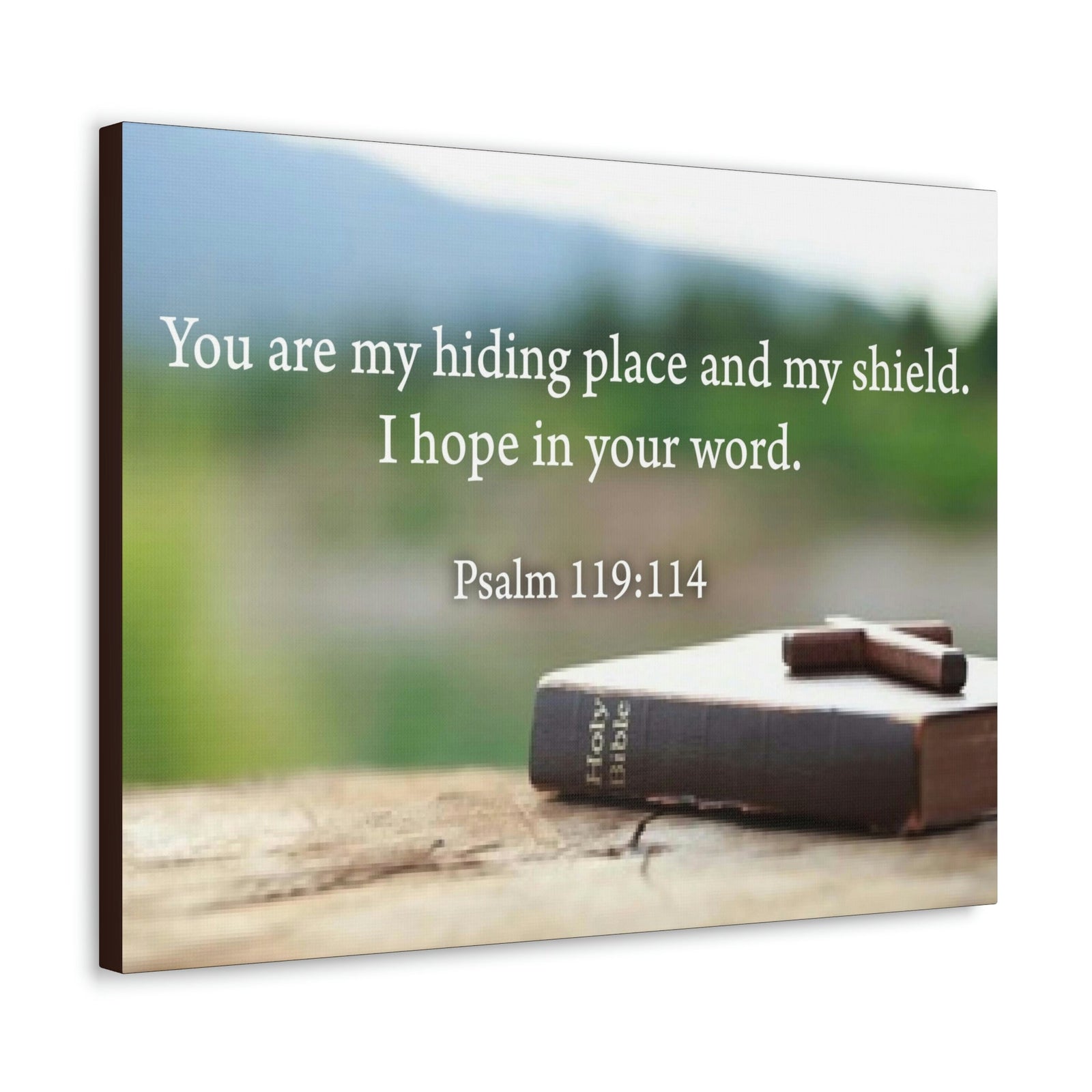 Scripture Walls Hiding Place Psalm 119:114 Bible Verse Canvas Christian Wall Art Ready to Hang Unframed-Express Your Love Gifts