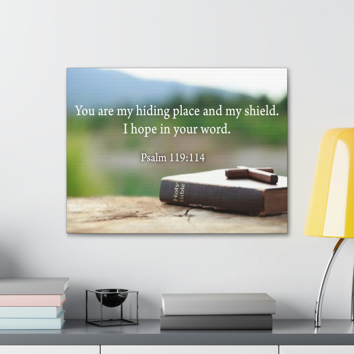 Scripture Walls Hiding Place Psalm 119:114 Bible Verse Canvas Christian Wall Art Ready to Hang Unframed-Express Your Love Gifts