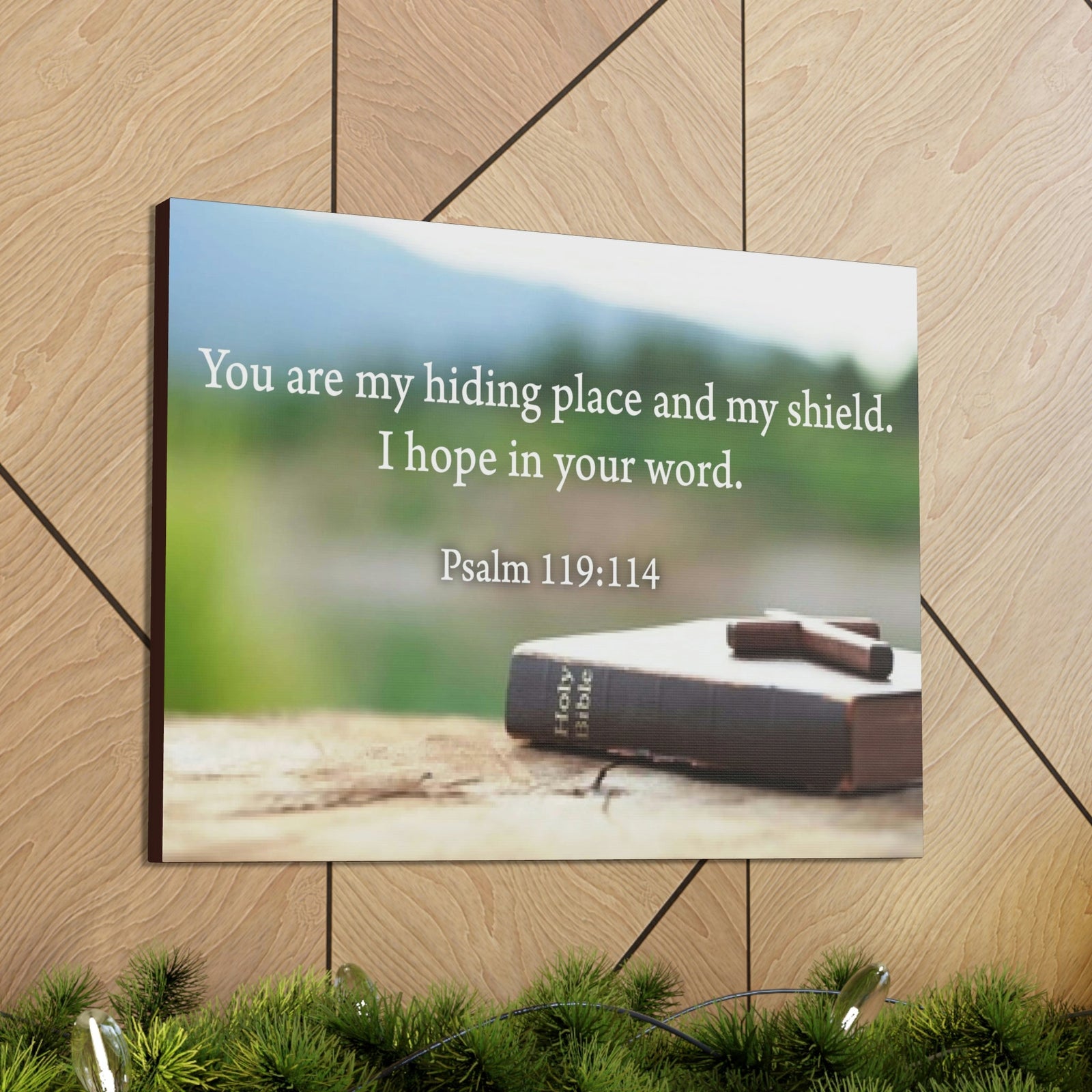 Scripture Walls Hiding Place Psalm 119:114 Bible Verse Canvas Christian Wall Art Ready to Hang Unframed-Express Your Love Gifts