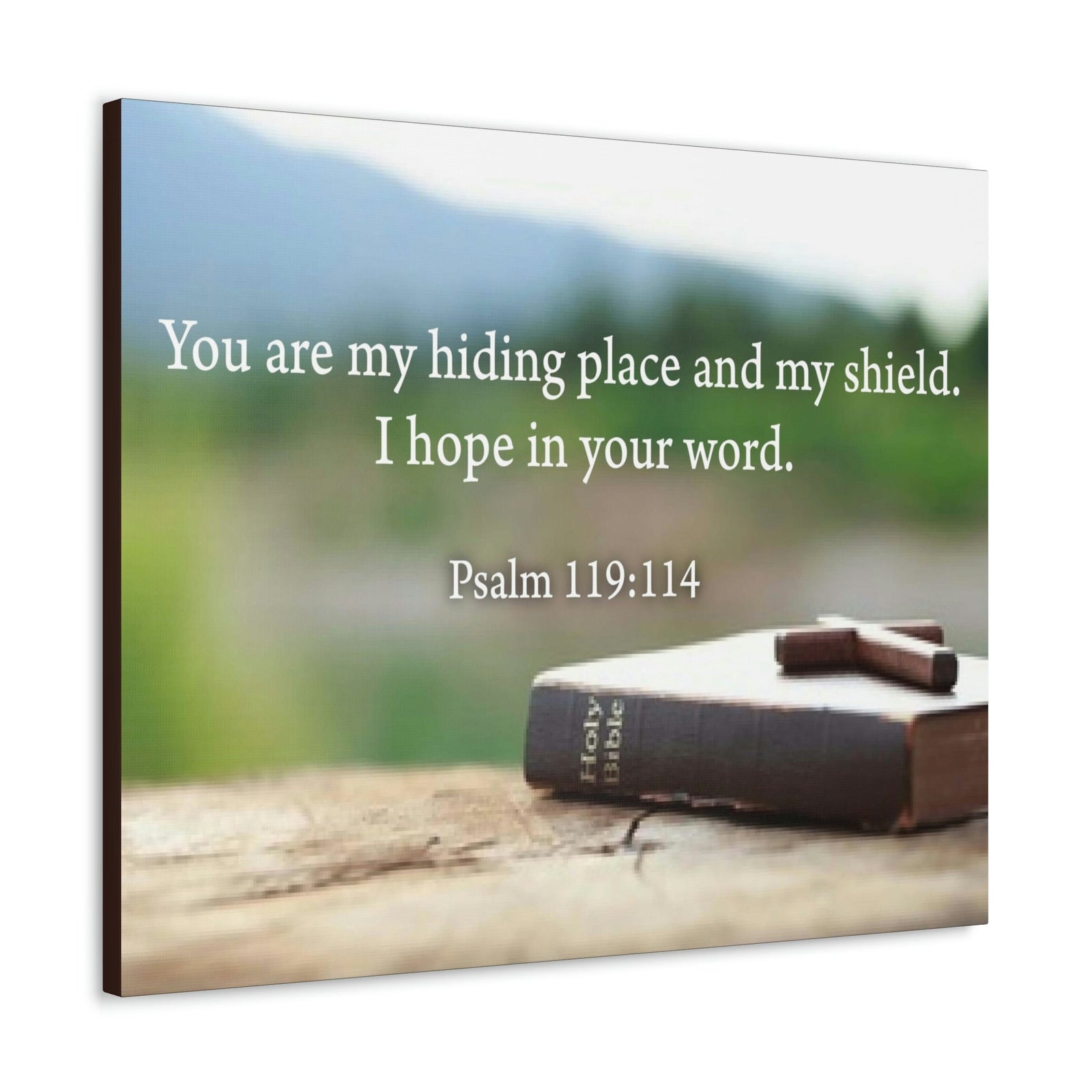 Scripture Walls Hiding Place Psalm 119:114 Bible Verse Canvas Christian Wall Art Ready to Hang Unframed-Express Your Love Gifts