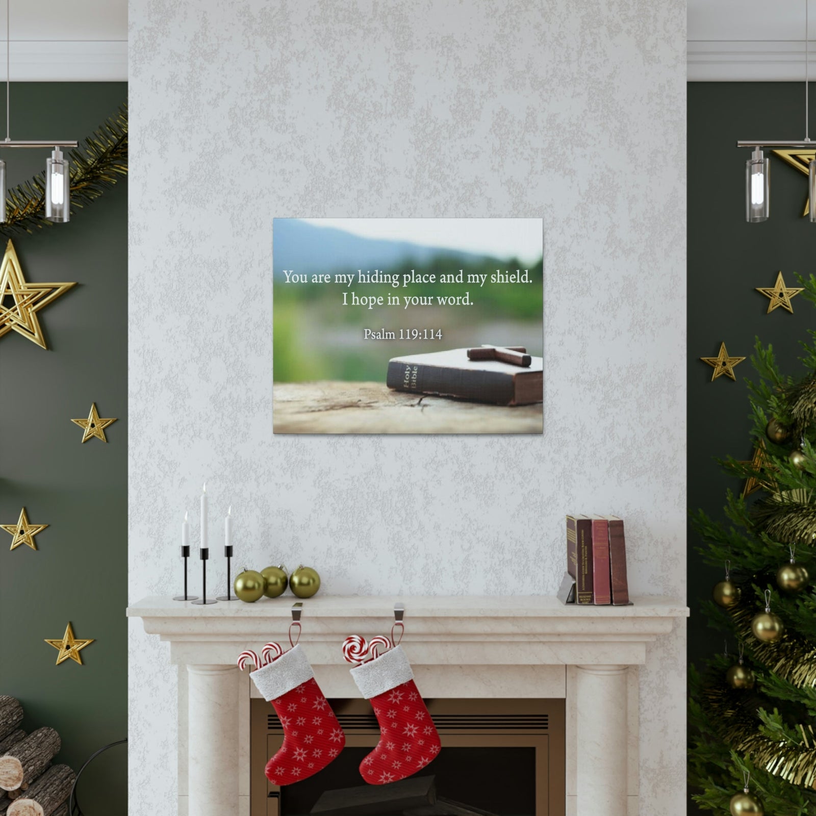 Scripture Walls Hiding Place Psalm 119:114 Bible Verse Canvas Christian Wall Art Ready to Hang Unframed-Express Your Love Gifts