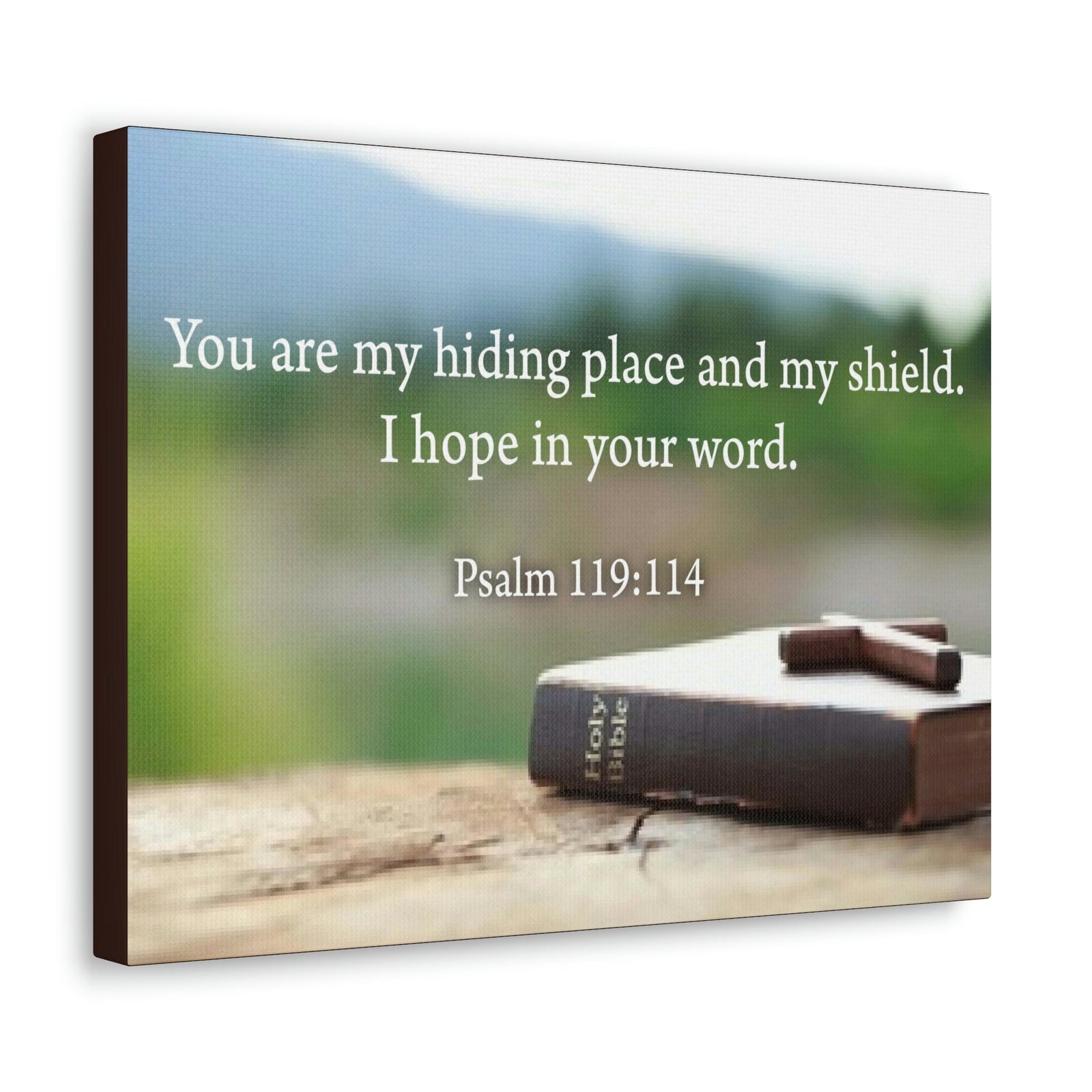 Scripture Walls Hiding Place Psalm 119:114 Bible Verse Canvas Christian Wall Art Ready to Hang Unframed-Express Your Love Gifts