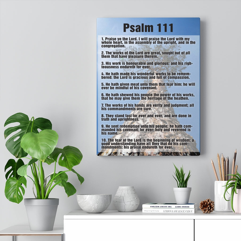 Scripture Walls His Goodness Endures Forever Psalm 111 Bible Verse Canvas Christian Wall Art Ready to Hang Unframed-Express Your Love Gifts