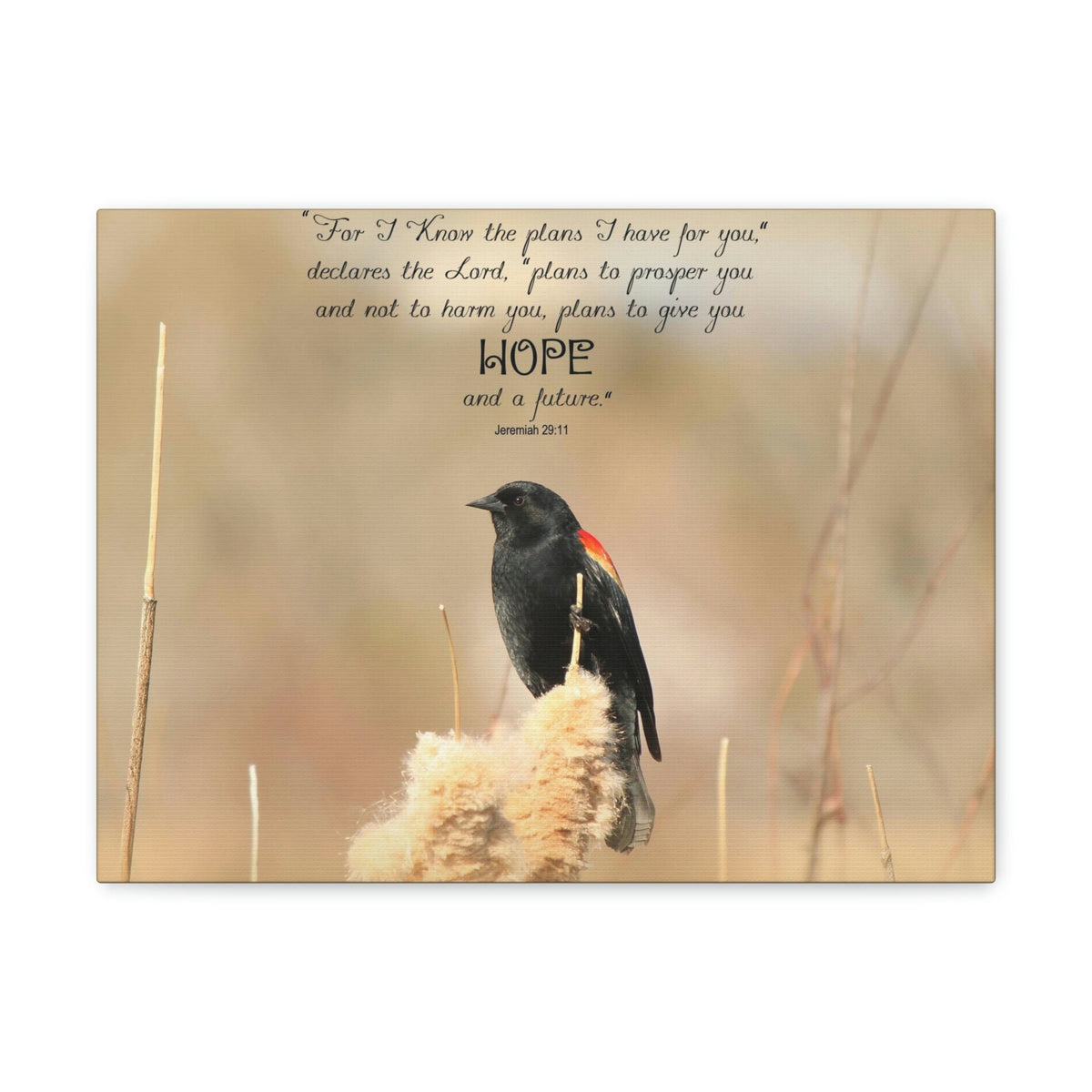 Scripture Walls Hope And A Future Jeremiah 29:11 Bible Verse Canvas Christian Wall Art Bible Verse Print Ready To Hang Unframed-Express Your Love Gifts