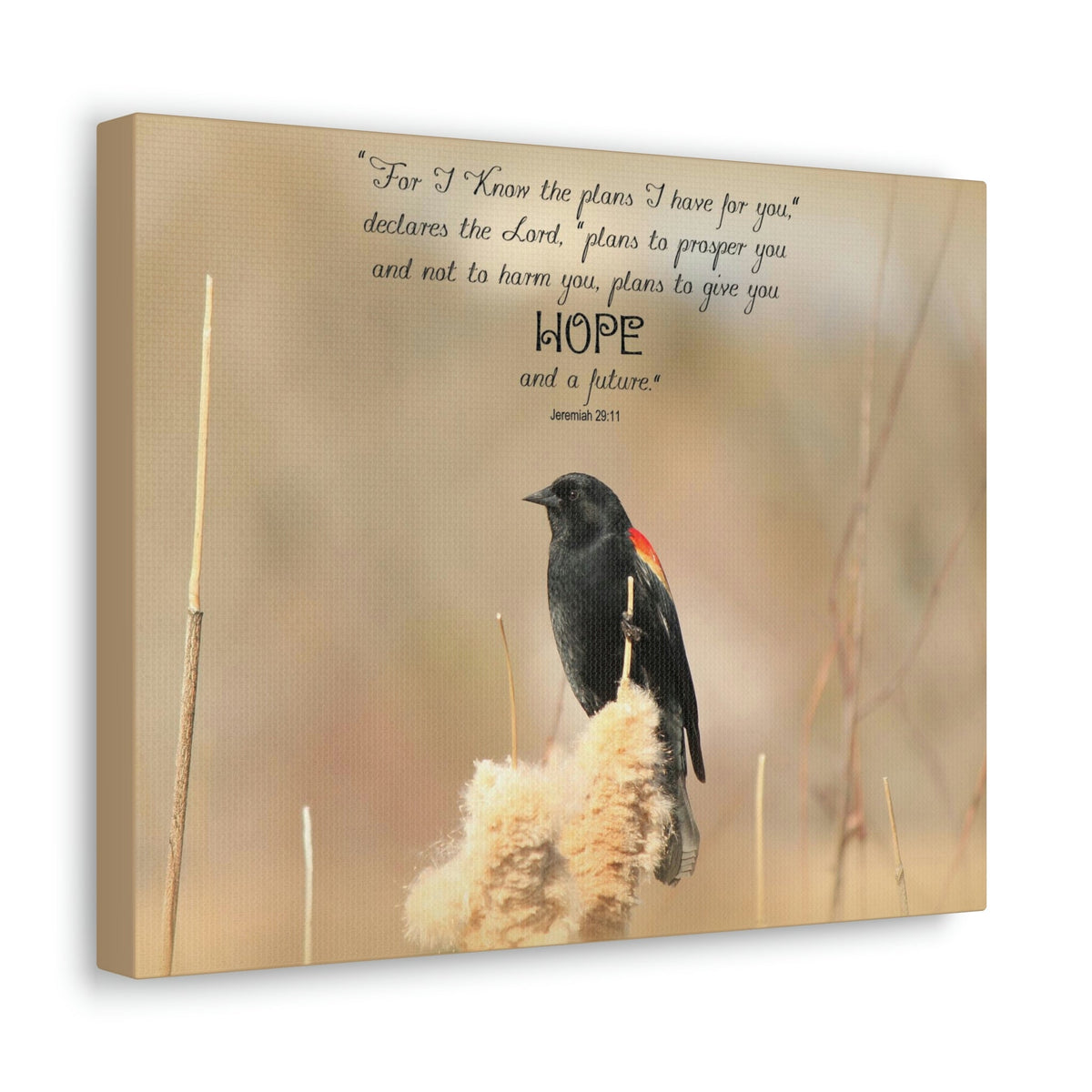 Scripture Walls Hope And A Future Jeremiah 29:11 Bible Verse Canvas Christian Wall Art Bible Verse Print Ready To Hang Unframed-Express Your Love Gifts