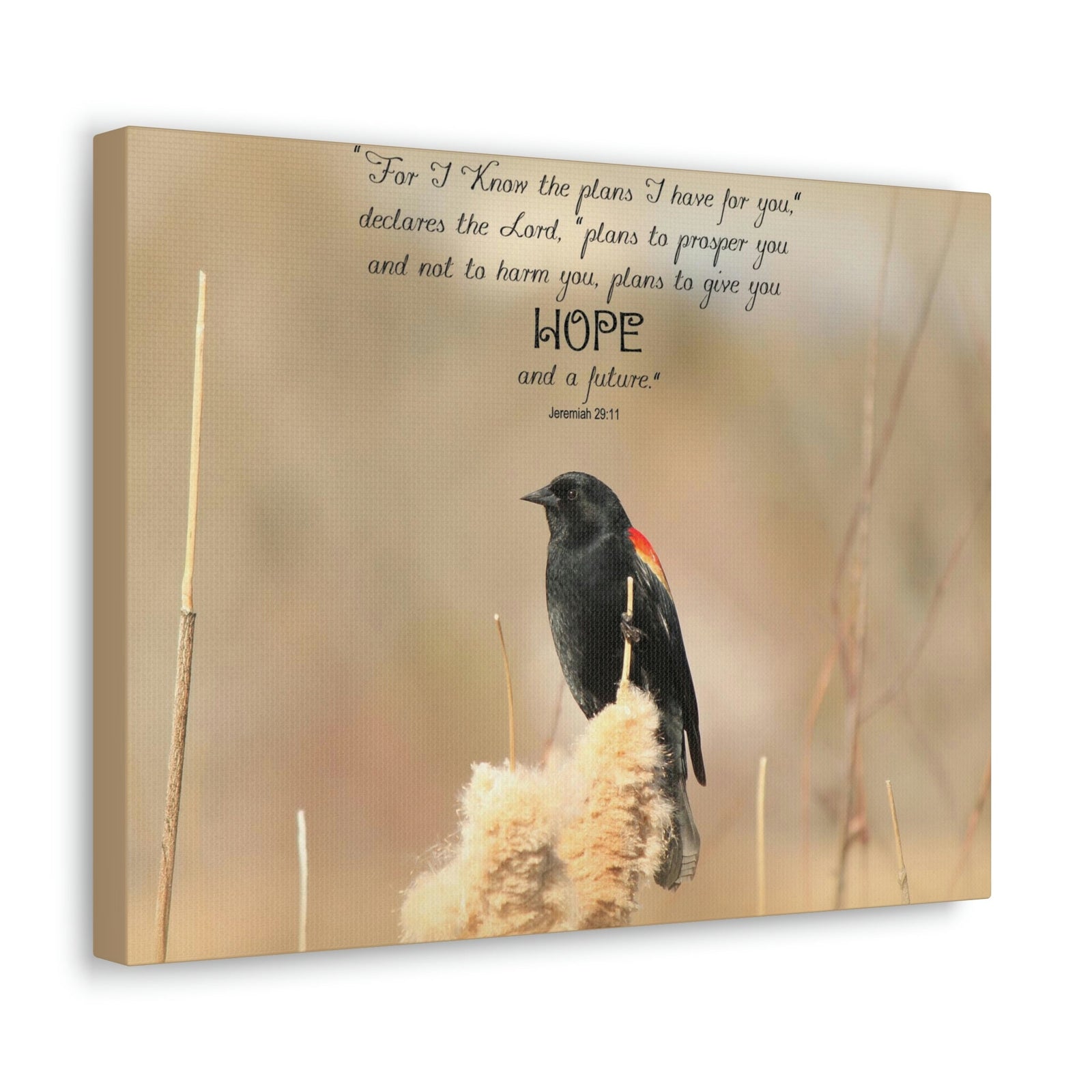 Scripture Walls Hope And A Future Jeremiah 29:11 Bible Verse Canvas Christian Wall Art Bible Verse Print Ready To Hang Unframed-Express Your Love Gifts