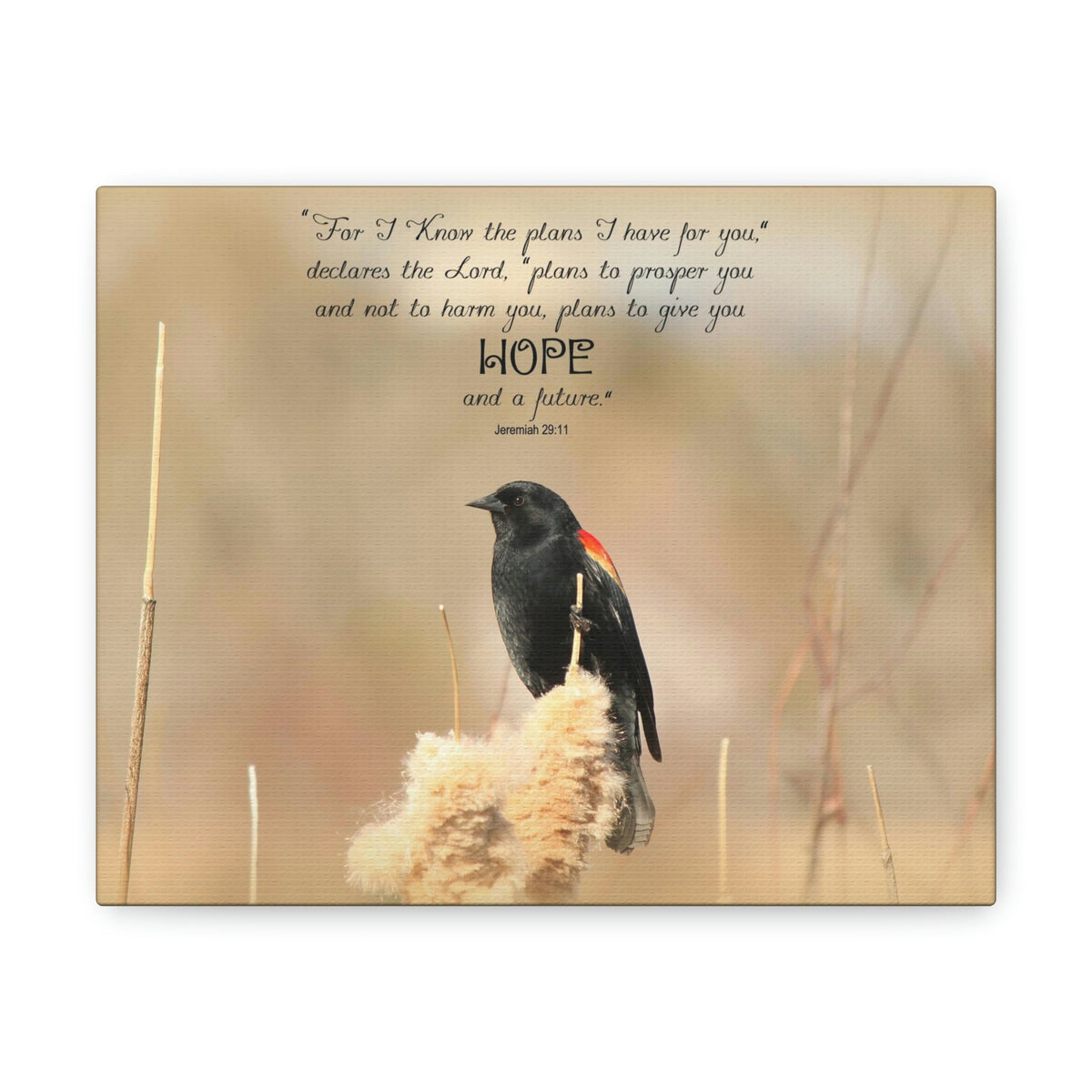 Scripture Walls Hope And A Future Jeremiah 29:11 Bible Verse Canvas Christian Wall Art Bible Verse Print Ready To Hang Unframed-Express Your Love Gifts